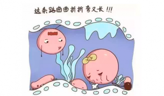 输卵管积水有哪些症状呢?