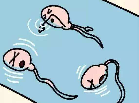 输卵管有积液这是怎么一回事
