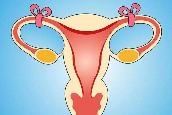 输卵管堵塞不治疗带来的并发症有哪些