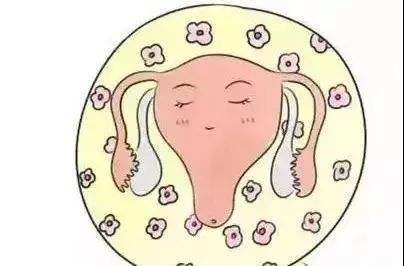 宫颈柱状上皮异位是什么引起的呢