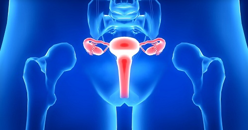 子宫肌瘤出血怎么办？