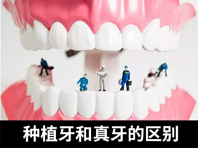 解答天津一般做种植牙费用是多少