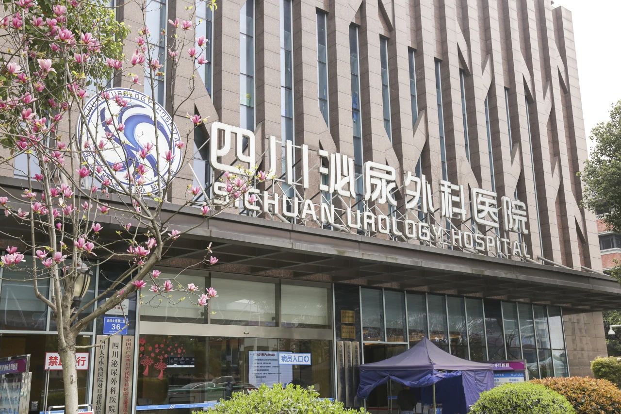 聚焦专业实力，四川泌尿外科医院引领泌尿诊疗新风尚